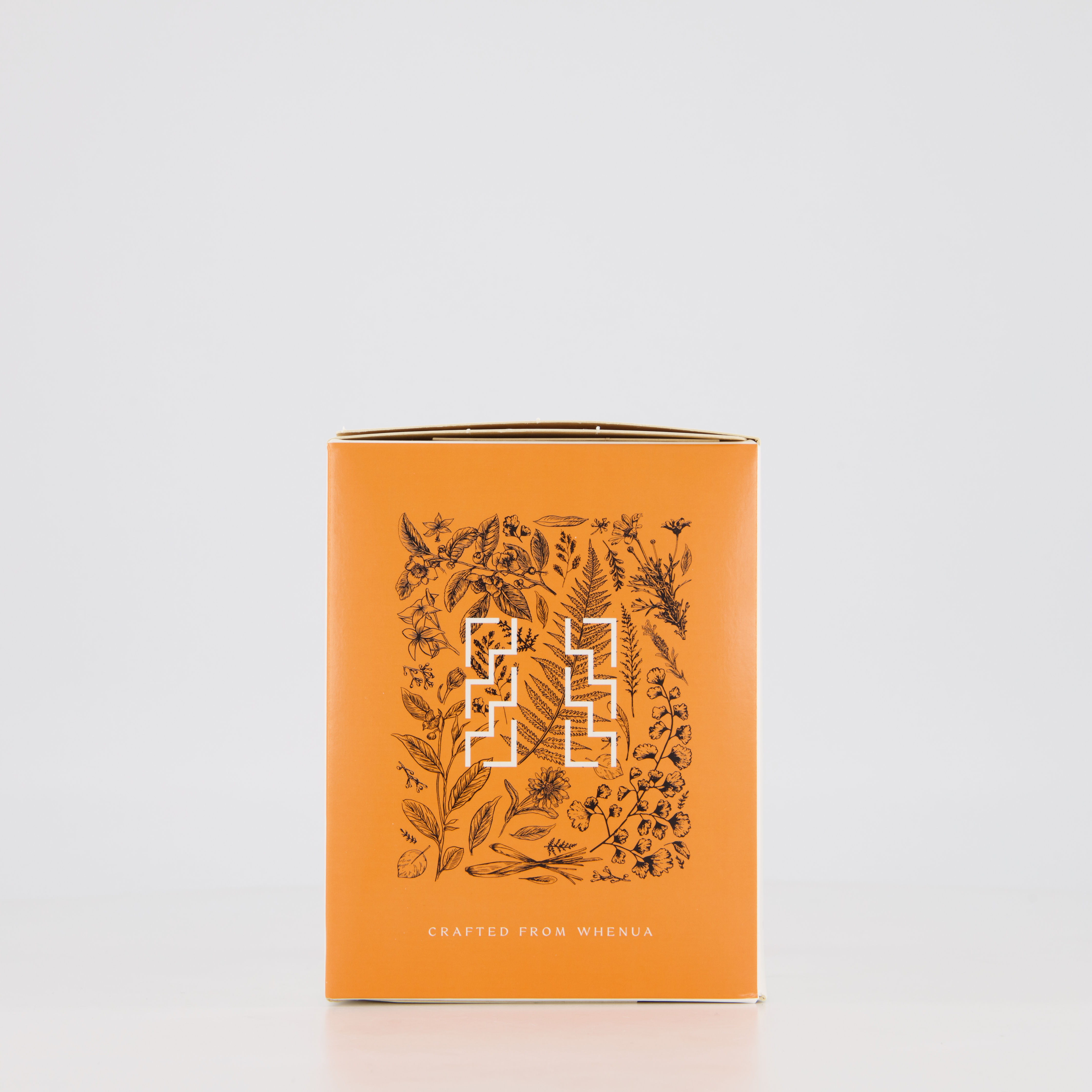 P231101092431 back JPG 8